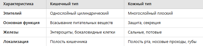 Сравнение и функциональная роль